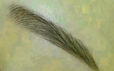 ��üë���ġ�����