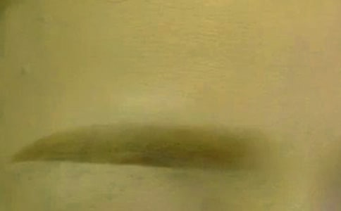 (經(jīng)典)刮眉毛作文