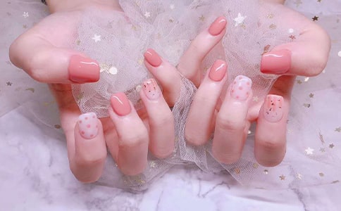 ���׵��f�f