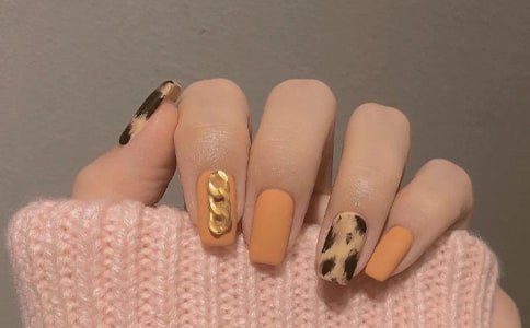 ���׻��(d��ng)��(bi��o)�Z(y��)