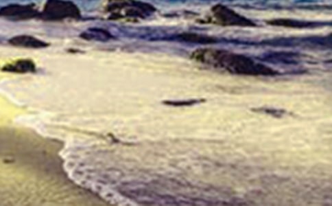 描寫美景的詩句300句