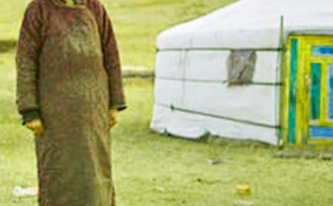 �ɹ�����L(f��ng)�����ģ�����