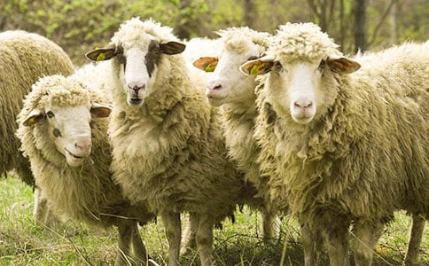 �ɐ�(��i)��С�d��С�����g(sh��)�̰���ͨ��6ƪ��