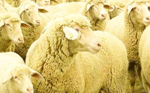 ������cС�d���x���