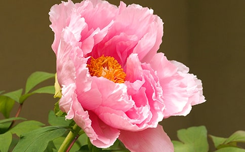 ĵ��ͤ�^���