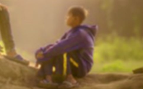 (精選)《奇跡男孩》觀后感15篇