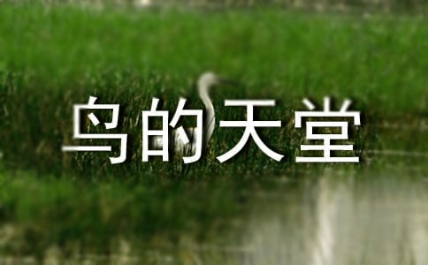 鳥的天堂教案