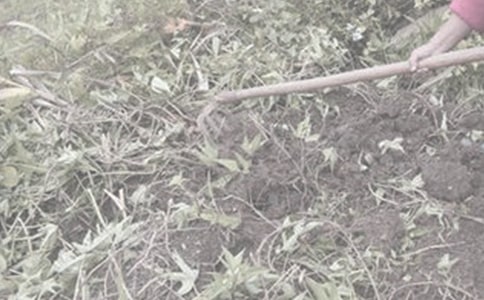 ���r(n��ng)�������