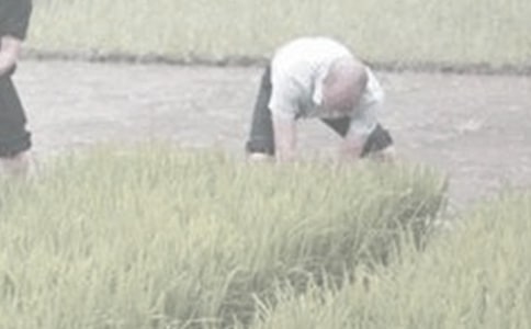 第一次干農(nóng)活作文