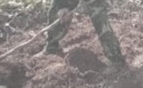 ���r(n��ng)��Ľ�(j��ng)���f�f��720�䣩