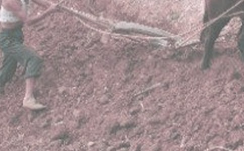 干農(nóng)活發(fā)朋友圈幽默說說