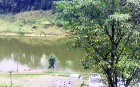 [���]]�r(n��ng)�Ҙ�����14ƪ