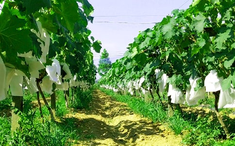 �r(n��ng)�Ҙ�����(��15ƪ)