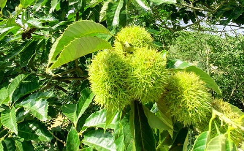 ���r(n��ng)�Ҙ�����