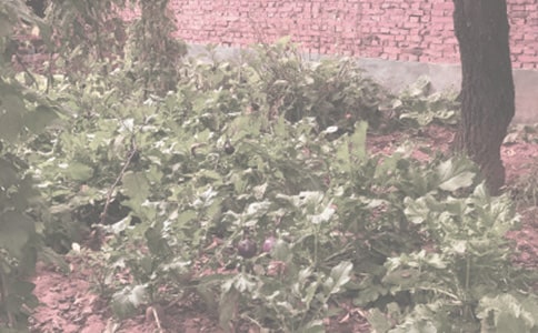 �茑(xi��)�r(n��ng)�����Ъ���Z(y��)�����x120�䣩