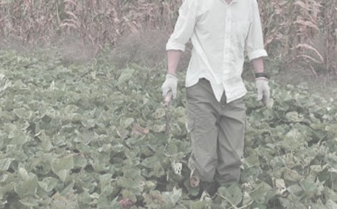 �r(n��ng)����N�Ӽӹ��f(xi��)�h����ʽ