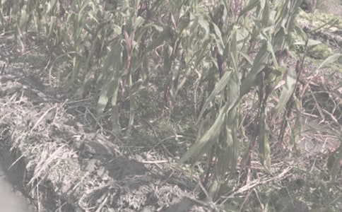 �S����,���y������һ���M���(��һ�r(n��ng)����)