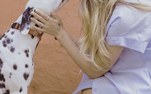 Ů�Ԝp���ӵķ���