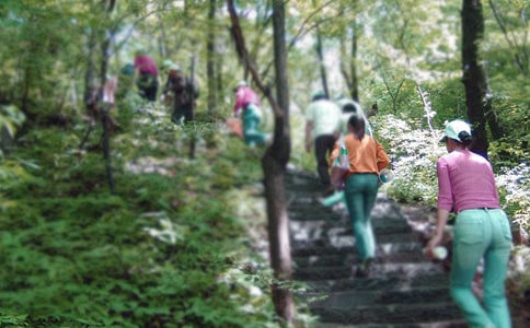 冬天爬山到底好嗎