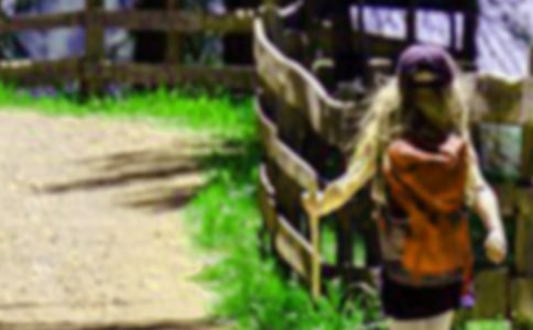 [��]�P(gu��n)����ɽ������15ƪ