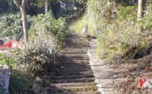 ��ɽ[�ϼ�15ƪ]