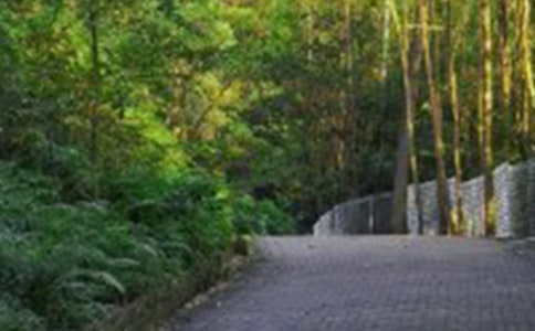 上山爬山登山歇后語(yǔ)