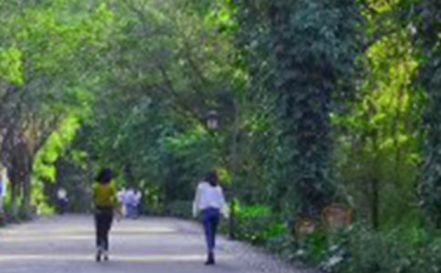 ��ɽ������11ƪ����(y��u)�x��