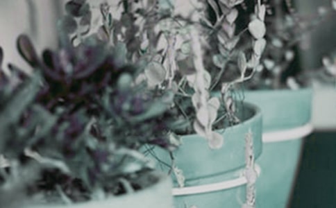 С��������