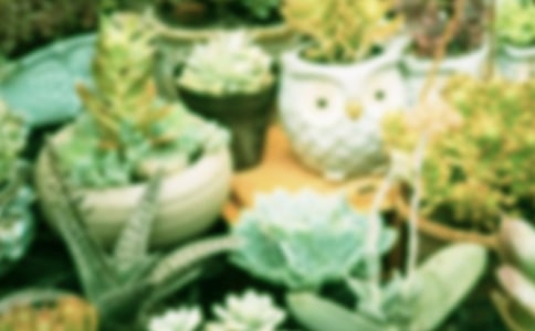 �������Ե��B(y��ng)ֳ����