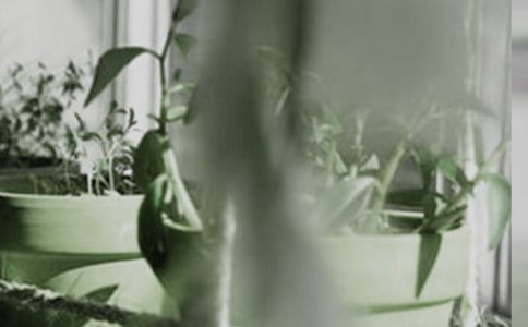 �P(gu��n)�����Ե�����