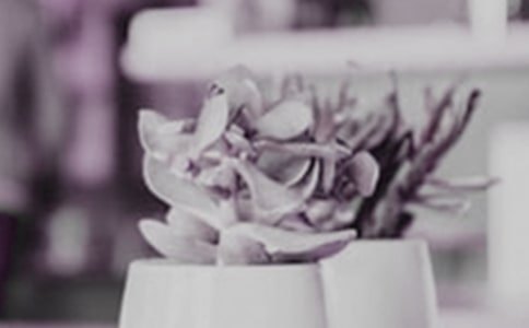 �󻨈@��С��������