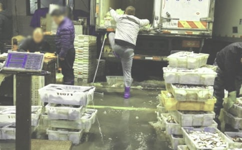 藥品批發(fā)企業(yè)倉庫管理制度(精選14篇)