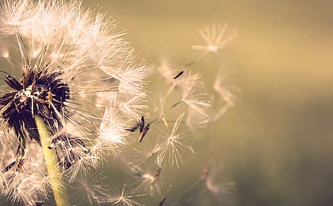 �ѹ�Ӣ��ˮ�ȹ�Ч�c����