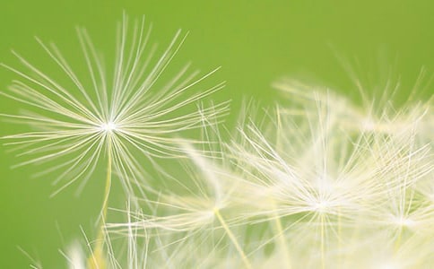 ���ѹ�Ӣ���x���