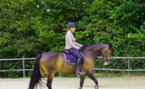 ��������һ���T�R����