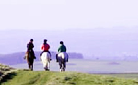 ���᡿��һ���T�R����