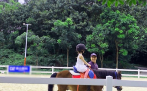 �T�R����300��