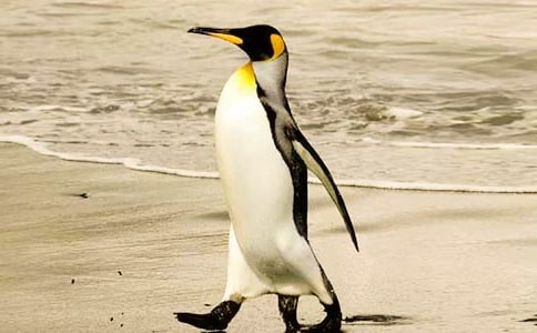 �������Z�x���(ͨ��15ƪ)