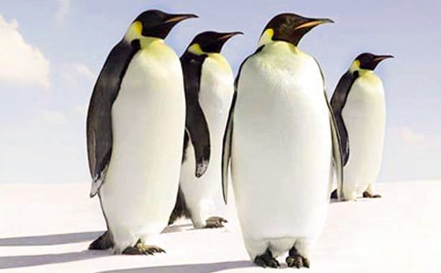 ���Z��ӛ�^���