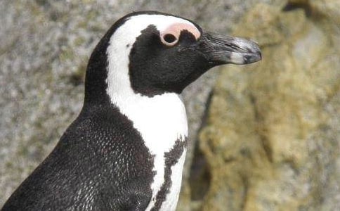 �����Z��ӛ�^��з���