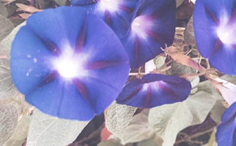 �����͠������n��˼