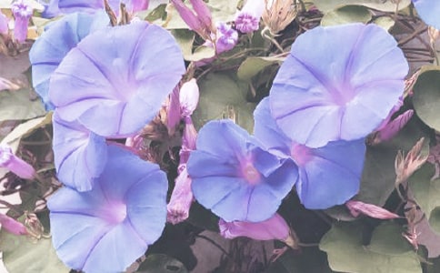 ���]������������