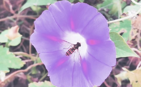 ���x��ţ������4ƪ