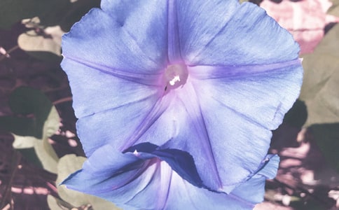 �茑��ţ����(y��u)���ľ���110��