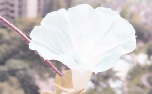 ����������100��