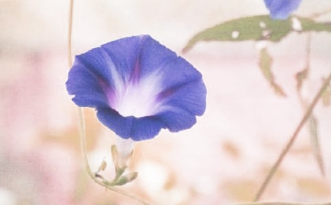 �����]������������