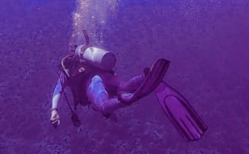 ��һ�Ν�ˮ����15ƪ�����ϣ�