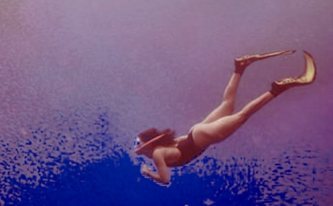 大東海潛水作文