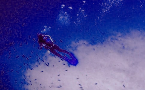 ��(m��ng)Ҋ(ji��n)��ˮ��ʲô��˼