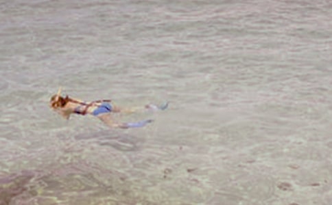 第一次潛水作文匯總(15篇)